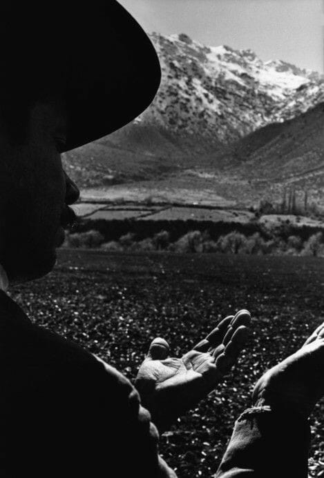 "El único conocimiento absoluto que puede alcanzar el hombre, es que la vida no tiene sentido".
León Tolstói
📷 Sergio Larrain