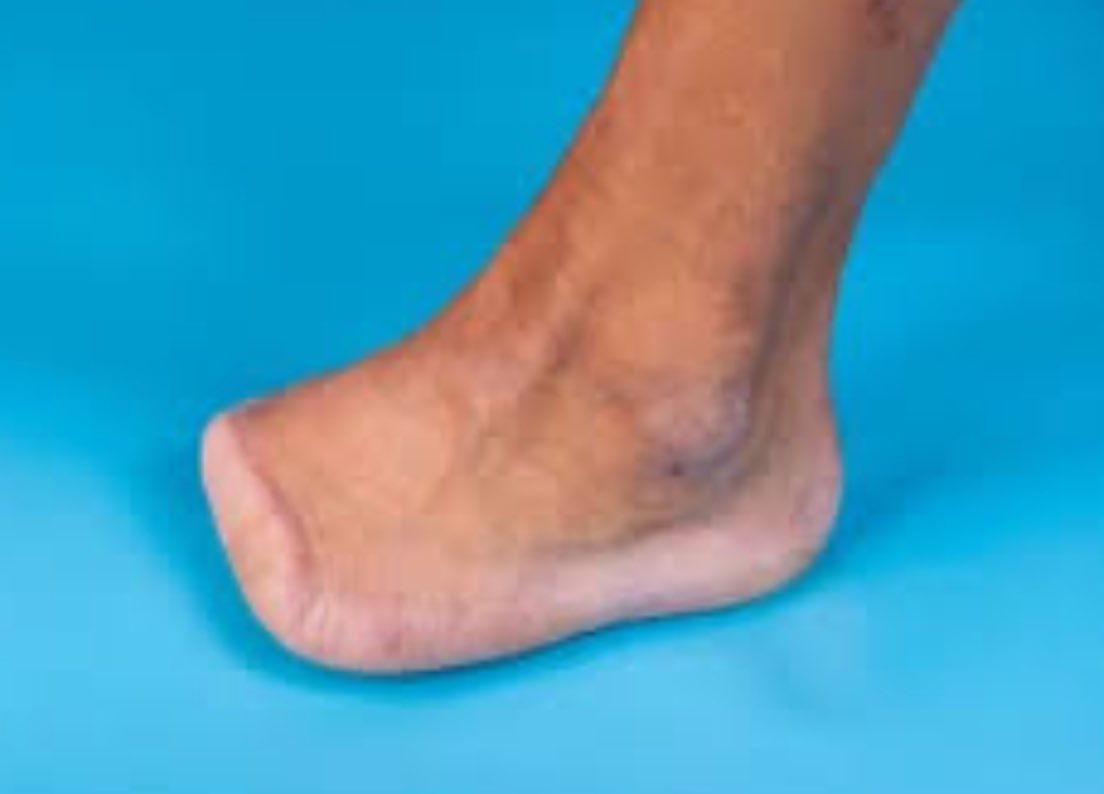 Zama Zama gang when they find you  😭