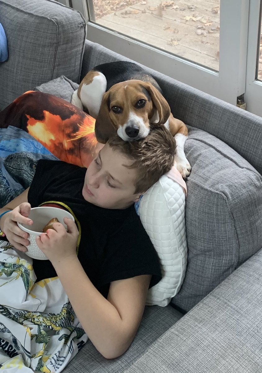 Anyone that LOVES DOGS like I do, please help donate to the American Cancer Society and support my wife’s dog walk!
gofund.me/575eb120