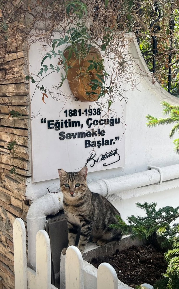 Yüreğinde tüm canlılara karşı sevgi ve merhamet barındıran herkese iyi geceler