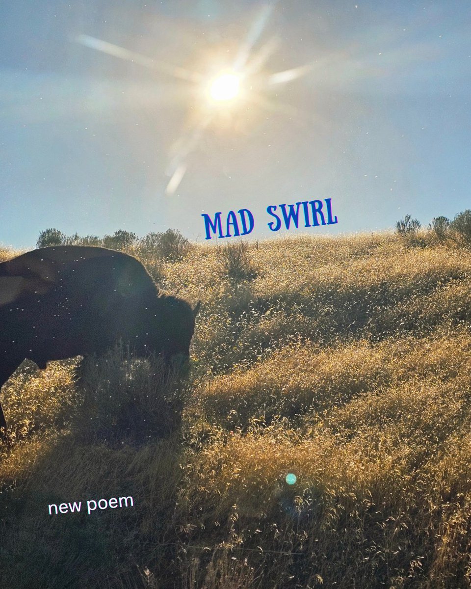 new poem up at Mad Swirl

madswirl.com/poetry/2025/08…