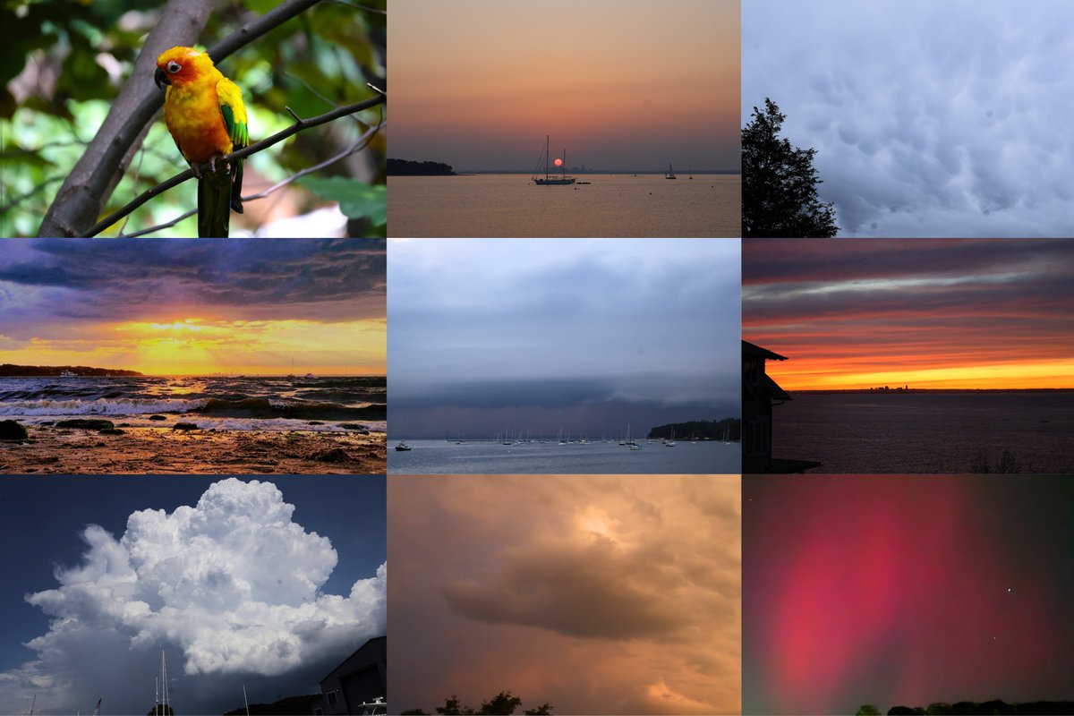 Happy World Photography Day! Here are some of my favorite photo's that I have taken over the years. #wxtwitter #photographer