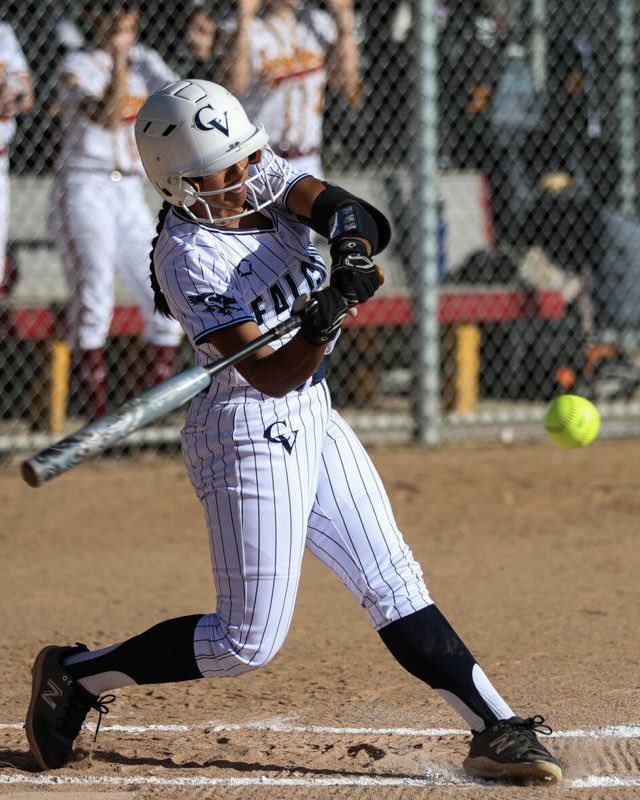 Washington Softball tweet media