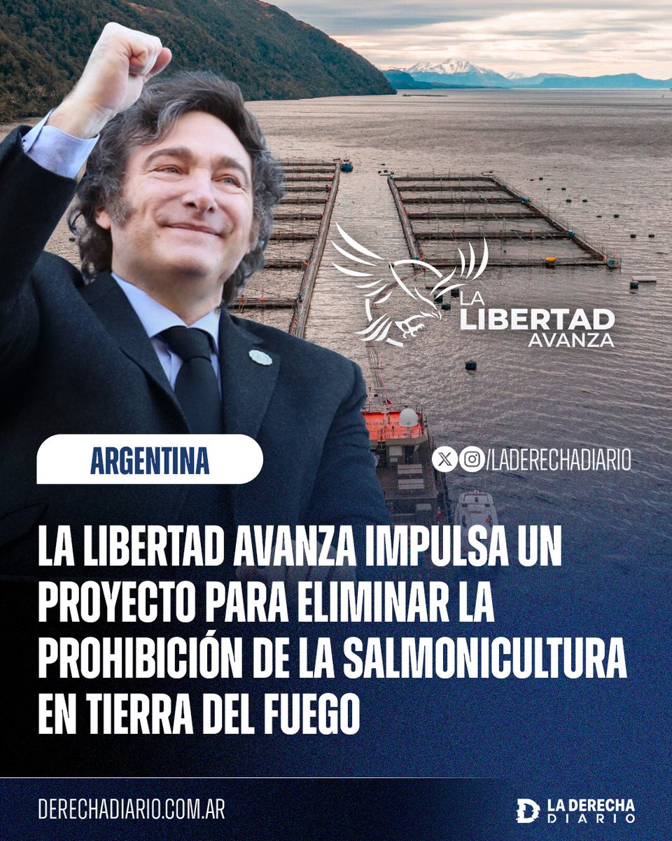 La Derecha Diario tweet media