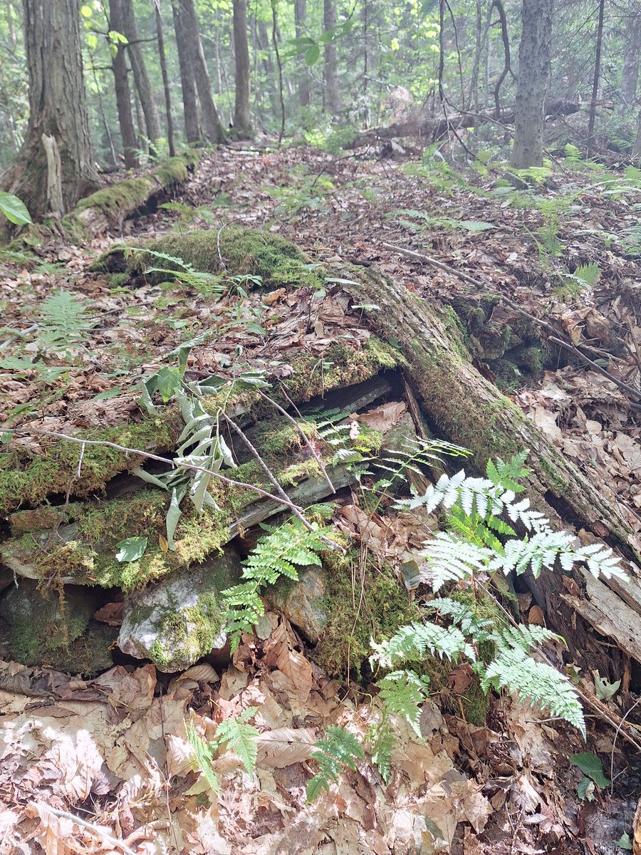 Few photos from today.