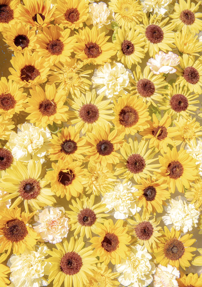 元気が出るひまわり花手水をどうぞ
