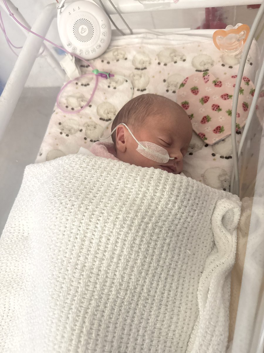 Update on Baby Maja 💕
Maja put on 100g overnight and is now 2.390kg! 🙏 Her stridor is still present when she’s exhausted, but overall things are looking very positive. Thank you all for your prayers and support — they mean the world to us as we keep trusting in God’s healing
