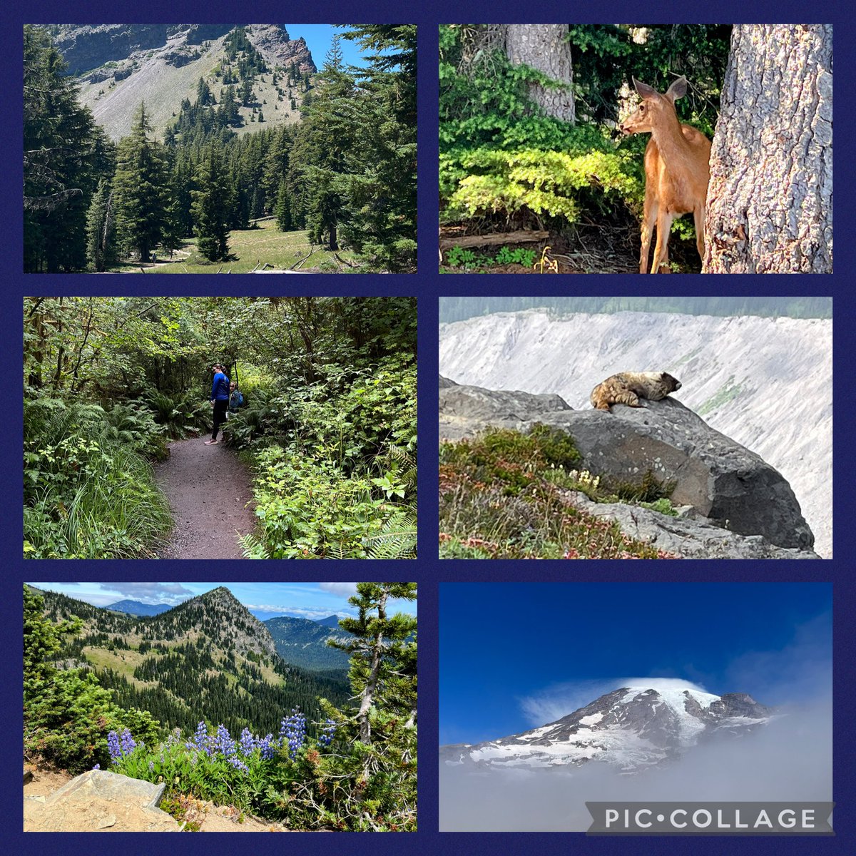 Melanie Dulaney tweet media