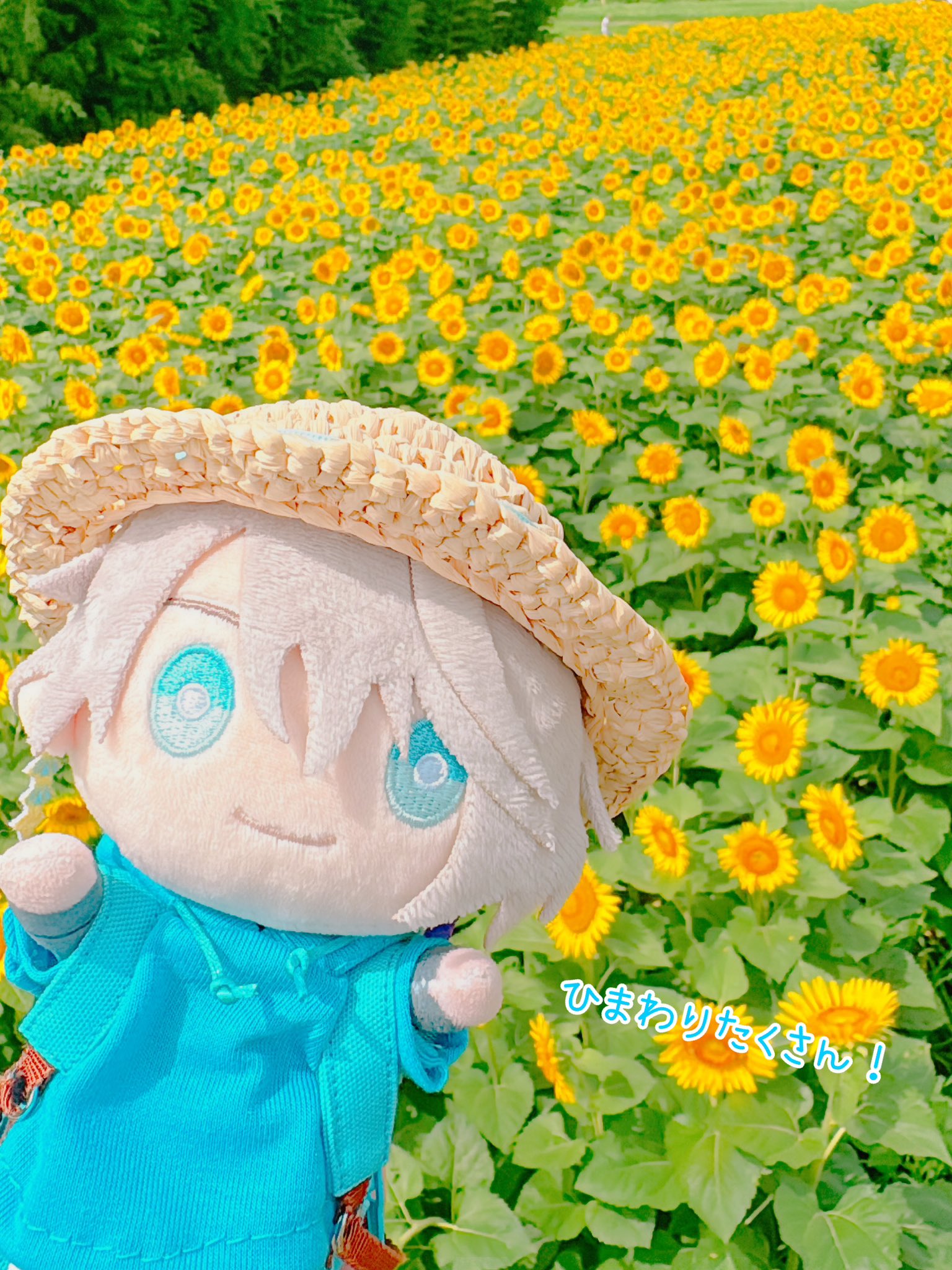 Chiko ちゃんページ 71S8jZ08l8L._UF350,350_QL50_.jpg