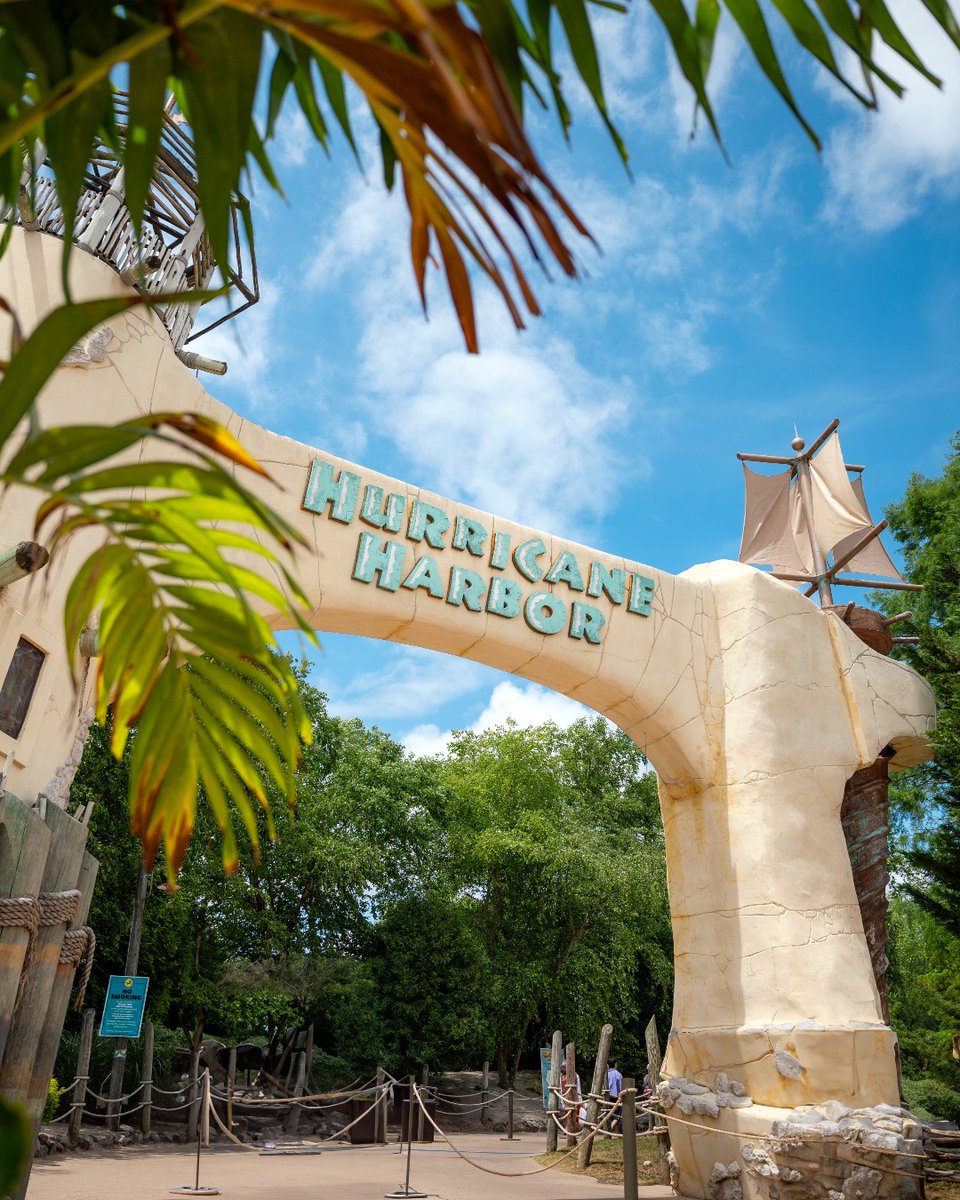 SFGrAdventure's tweet photo. Last chance to splash! 🌊☀️ Hurricane Harbor is open through Sept. 1, we’ll bring the thrills and the fun, you just have to be here. 🌴🎢

#HurricaneHarbor #SixFlagsGreatAdventure #NJWaterPark #SummerInNJ #LastDaysOfSummer https://t.co/N1ZwnbmFbv