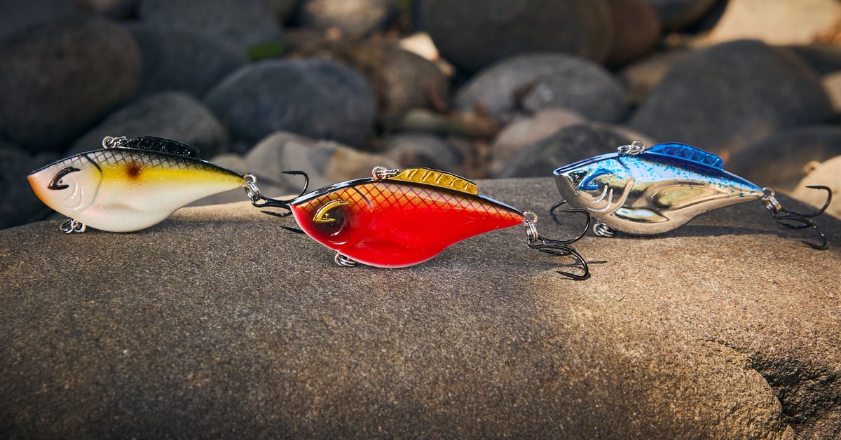 TackleWarehouse's tweet photo. 🔥DAILY SPECIAL🔥
Shop Now 👉 https://t.co/GvRWizppGE
25% Off Bill Lewis Mini Hammer Trap 3/16oz
Now: $5.99 | Save: $2.00 | 25% Off
#TackleWarehouse #TWdailySpecial #BassFishing #Fishing | #BillLewis https://t.co/FCtjNKxwix