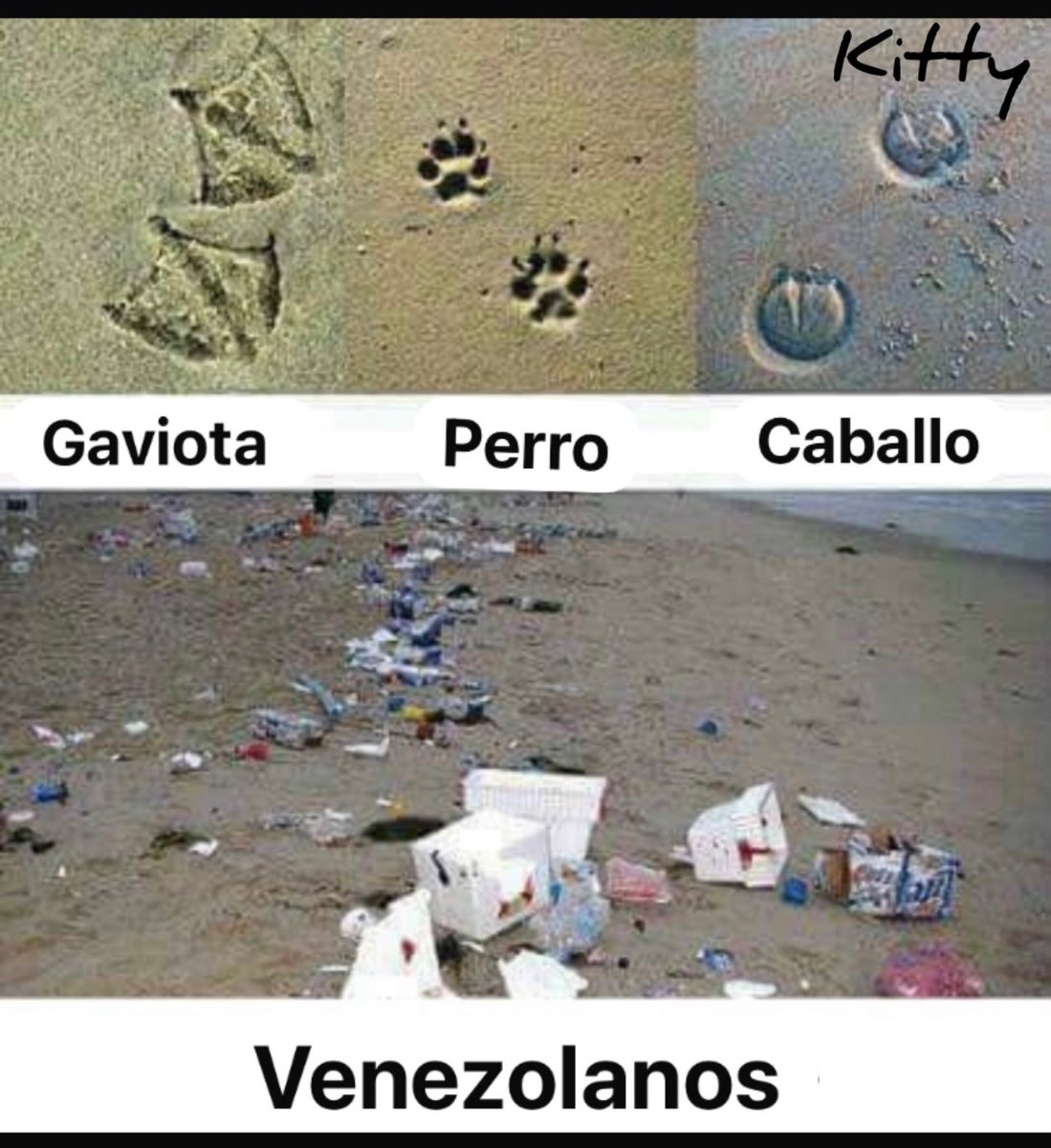 narbonachile's tweet photo. Tiempo que no veía un meme tan certero. Cochinos culiaos!! https://t.co/PiEYxGoShE
