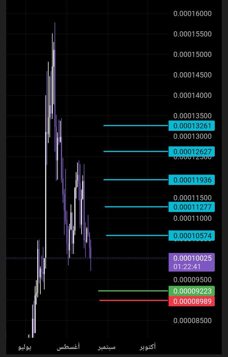 Crypto Whale tweet media