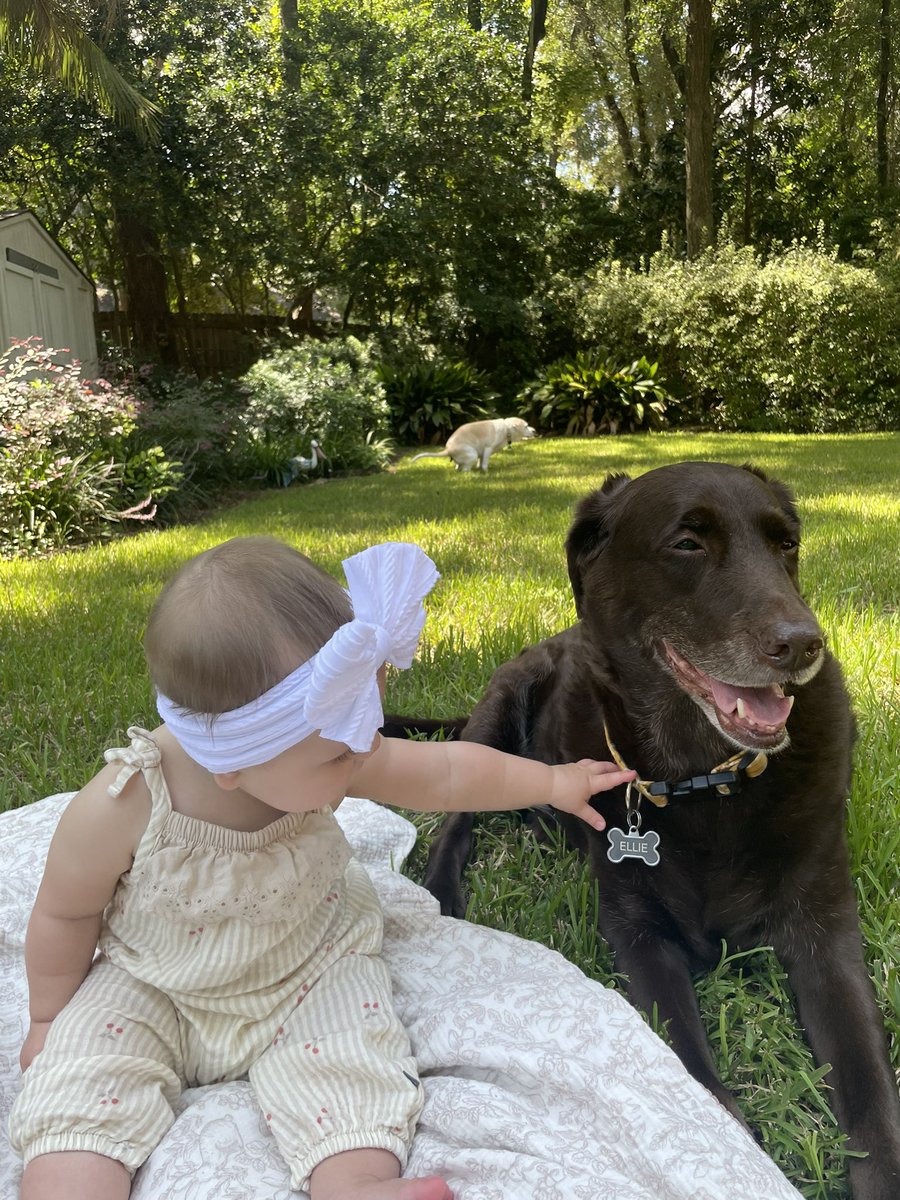 Such a nice photo of my niece and her dog