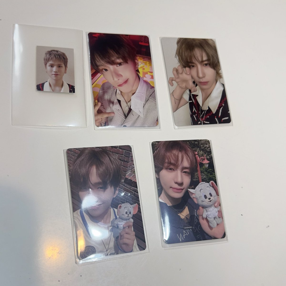 🐻くまくま🐻 tweet media