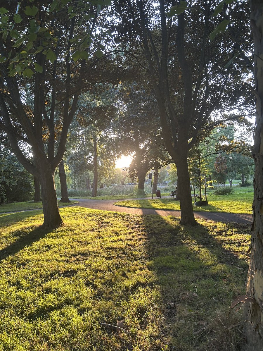 ‼️☀️good evening ☀️‼️