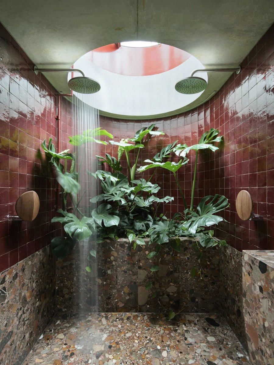 luusssso's tweet photo. Open air showers are such a flex https://t.co/taWUgakwDH