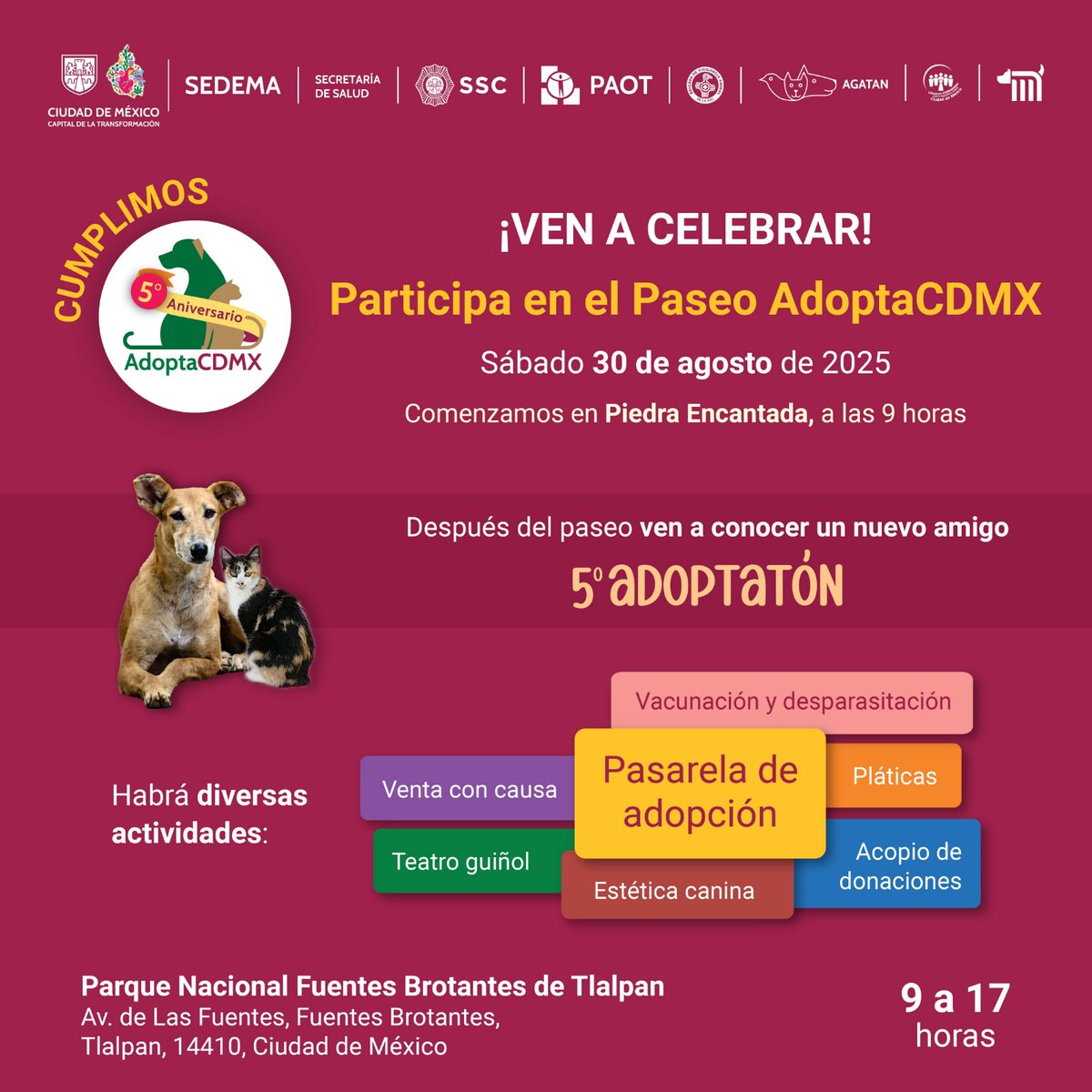 PAOT (@paotmx) on Twitter photo ¡Estamos de fiesta! 🥳
<a href="/AdoptaCDMX/">AdoptaCDMX</a> cumple 5 años cambiando vidas de humanos y peluditos. 🐾
Acompáñanos este 30 de agosto en el Parque Nacional Fuentes Brotantes a partir de las 9 h.
¡Te esperamos en el #PaseoAdopta 🏃🏽♀️➡️🦮 y quédate al #Adoptaton!
¡Habrá sorpresas! 🥇 ¡Estamos de fiesta! 🥳
<a href="/AdoptaCDMX/">AdoptaCDMX</a> cumple 5 años cambiando vidas de humanos y peluditos. 🐾
Acompáñanos este 30 de agosto en el Parque Nacional Fuentes Brotantes a partir de las 9 h.
¡Te esperamos en el #PaseoAdopta 🏃🏽♀️➡️🦮 y quédate al #Adoptaton!
¡Habrá sorpresas! 🥇