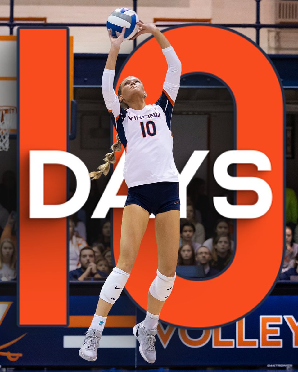 Virginia Volleyball tweet media