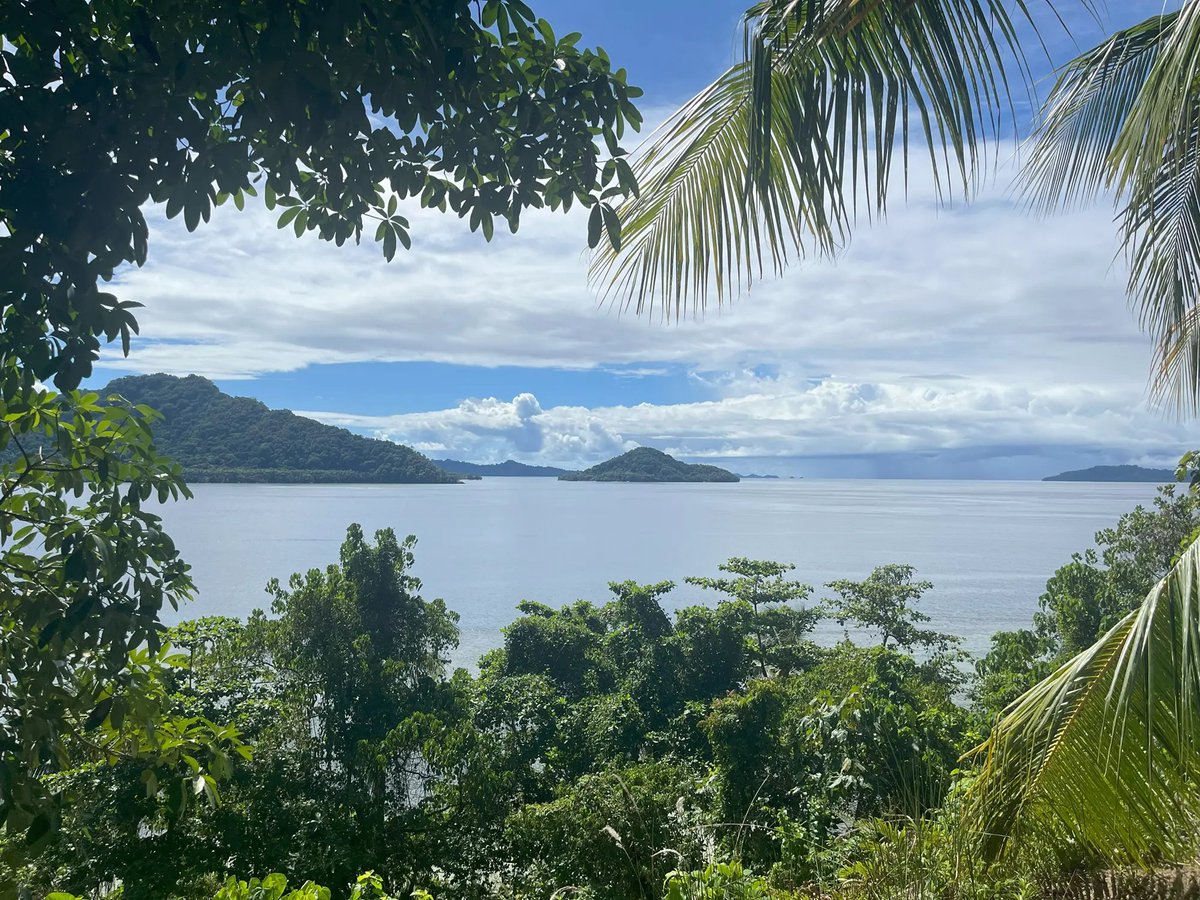 Fauro recap!  We recently announced high-grade gold and copper results.

The May site visit yielded a significant  number of grab samples with Au &amp; Cu mineralization, with assays  returning values of up to 19.25 g/t Au and 4.09% Cu.

Learn more: bit.ly/4lz8Cu8
$SCU.C