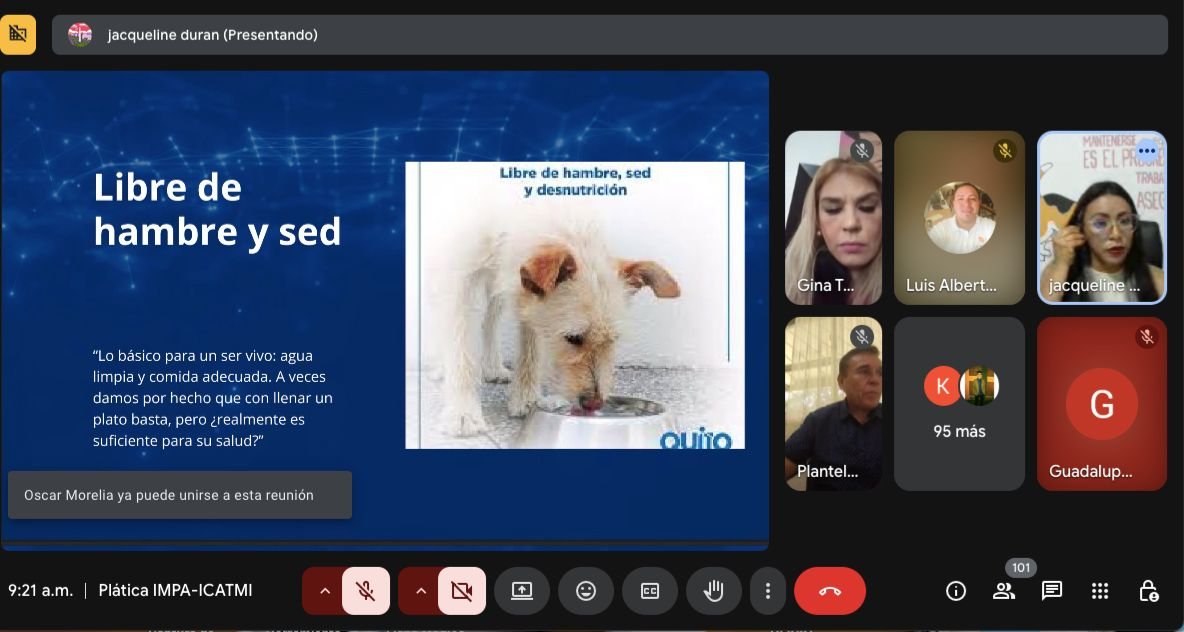En el ICATMI estamos comprometidos con el bienestar animal, por ello velamos por la construcción de un mejor futuro para todos los seres sintientes a través de la capacitación, dirigida a todo nuestro personal por parte la IMPA, a quien agradecemos la disposición y el apoyo