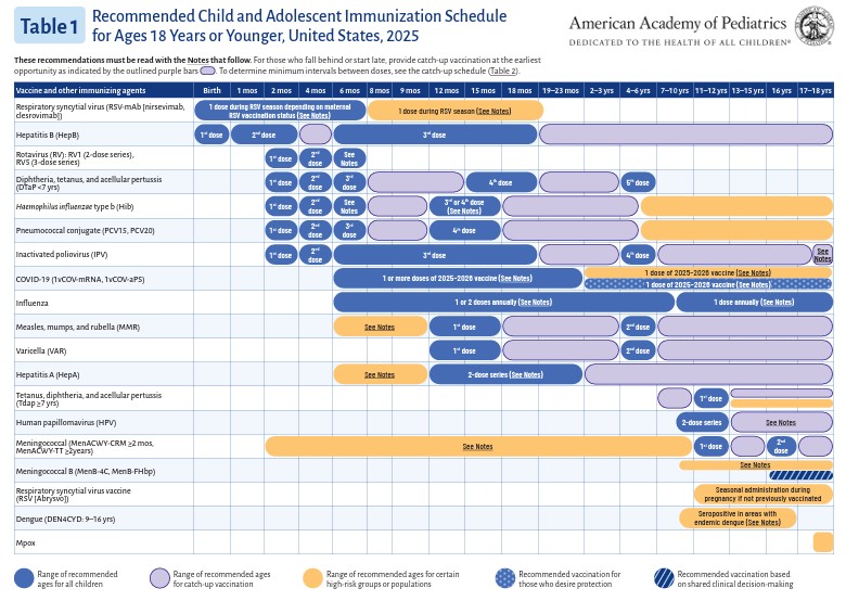 📣As respiratory virus season approaches, <a href="/AmerAcadPeds/">American Academy of Pediatrics</a> has published an evidence-based schedule that includes updated guidance for #influenza, #RSV, and COVID-19 immunizations for children and adolescents

 ow.ly/qwyX50WIpPn 
#GetVaccinated