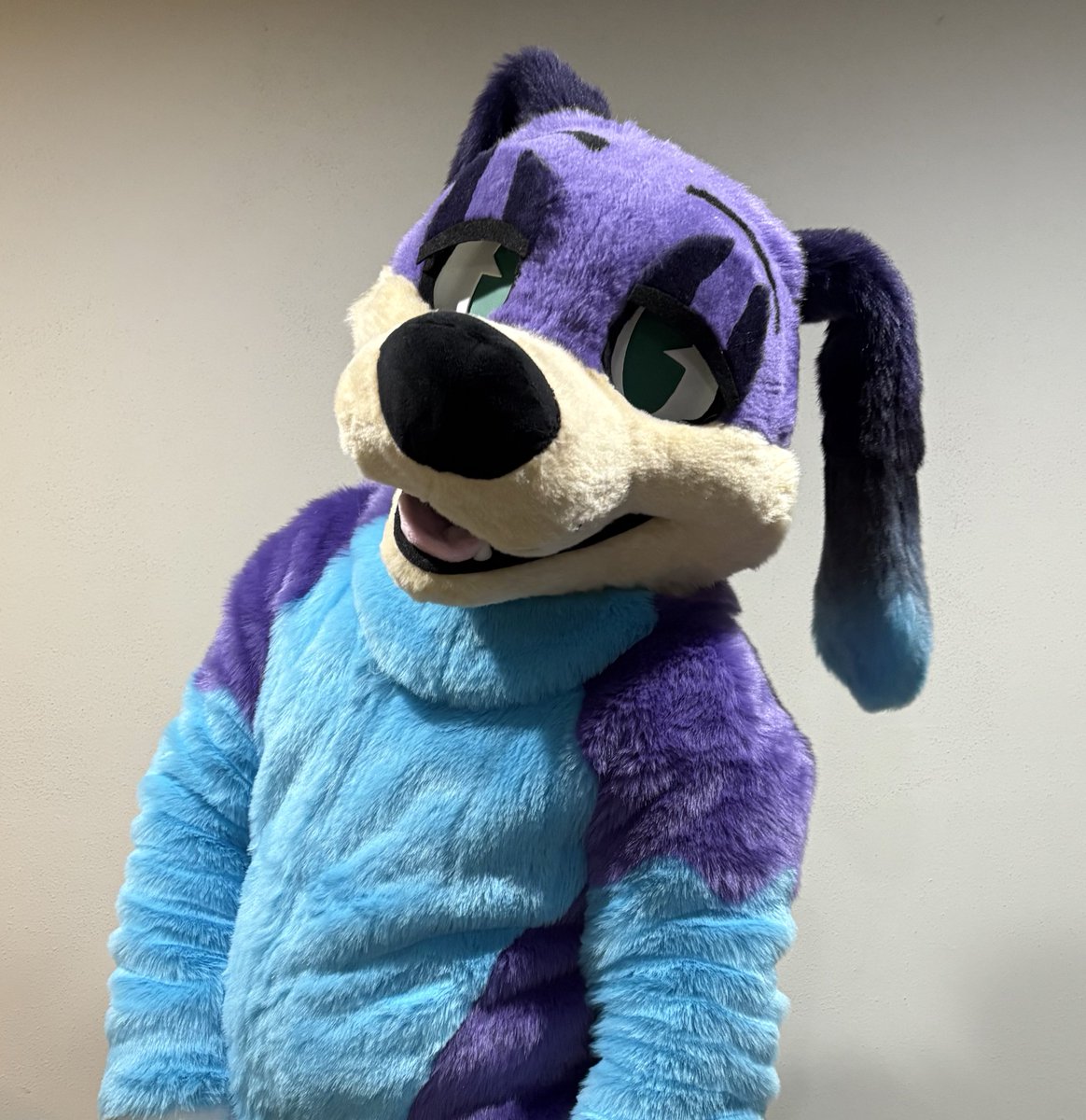 Pintra @ AnthrOhio tweet media