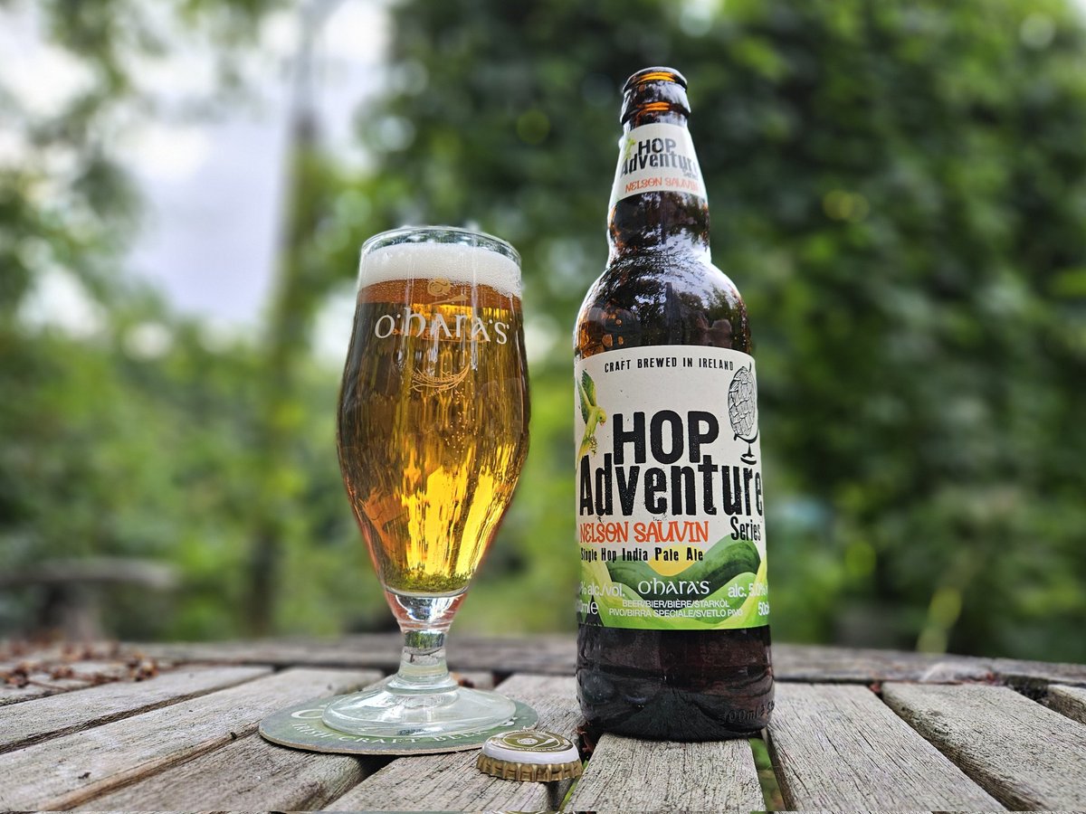 IrishBeerHistory tweet media