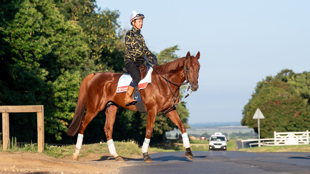 Jason Bax tweet media