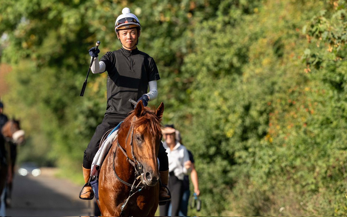 Jason Bax tweet media