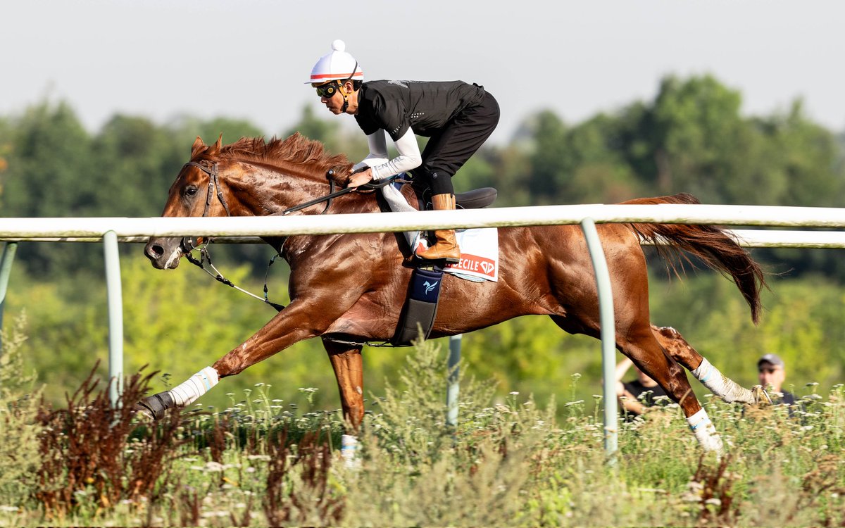 Jason Bax tweet media