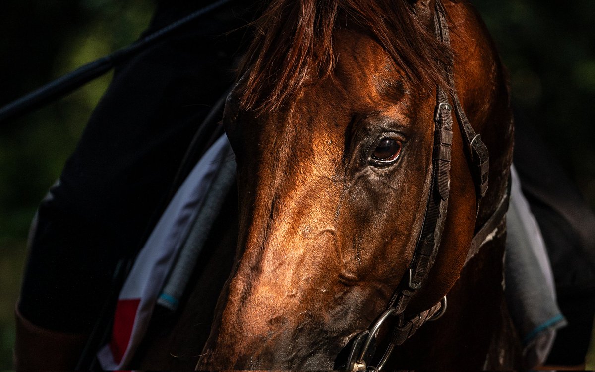 Jason Bax tweet media