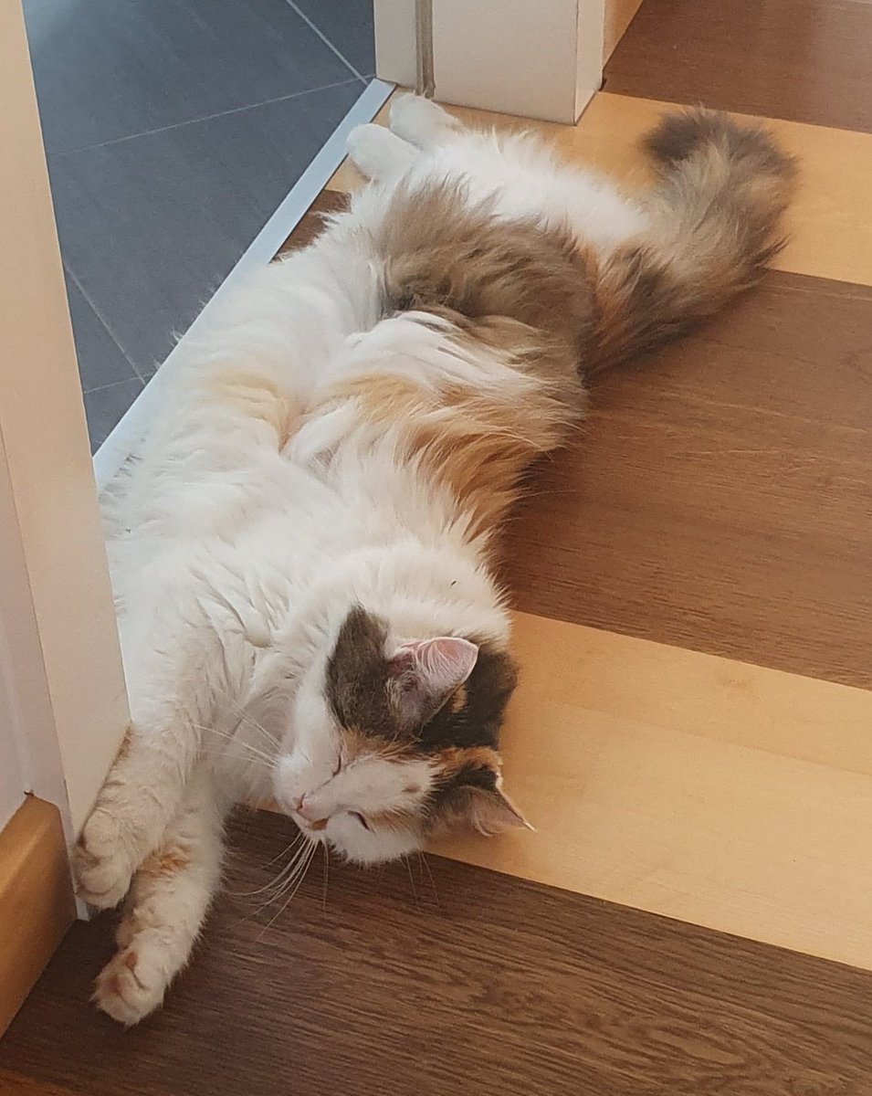 die mel 🙃 tweet media