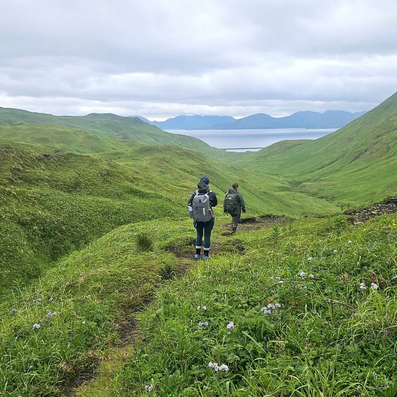 Summer Bridge student Kaylee Giauque is from Palmer, Alaska and this summer she interned with the Qawalangin Tribe of Unalaska! Her work included supporting the Iliuliuk Creek Weir project, conducting stream surveys, and gathering data on local fish populations!