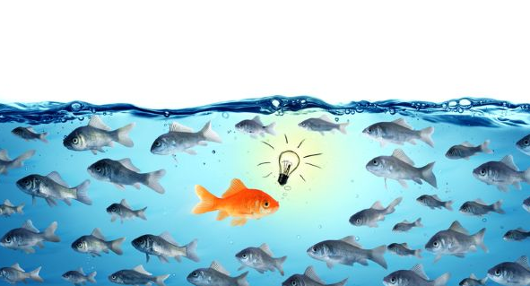 IQPartners's tweet image. Job seekers: Are you blending into the background? How to stand out at each stage of recruitment. #RecruiterTips
ow.ly/JvhE50WIbCC