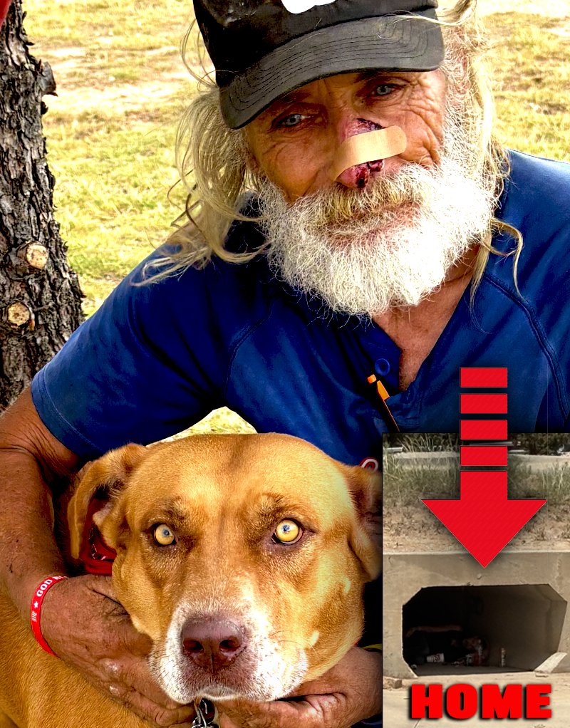 GUSTRONCOSO2's tweet photo. Every day, I see my neighbor Mr. J living in unimaginable conditions with his loyal dog, Lily. They deserve so much more. Please, help us change their lives. Share &amp; donate! https://t.co/MQvHJxMMuD https://t.co/IbO1mGC2re