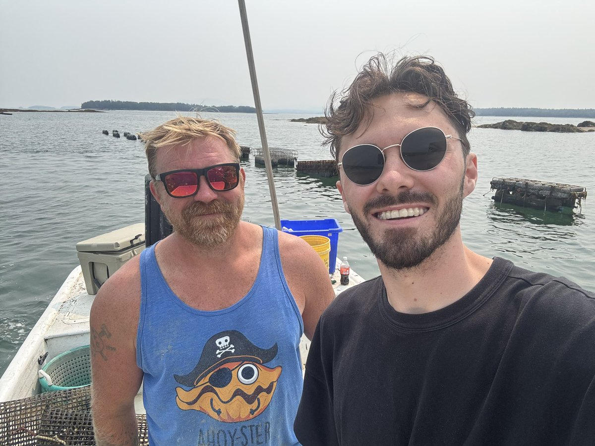 David Hogg 🟧 tweet media