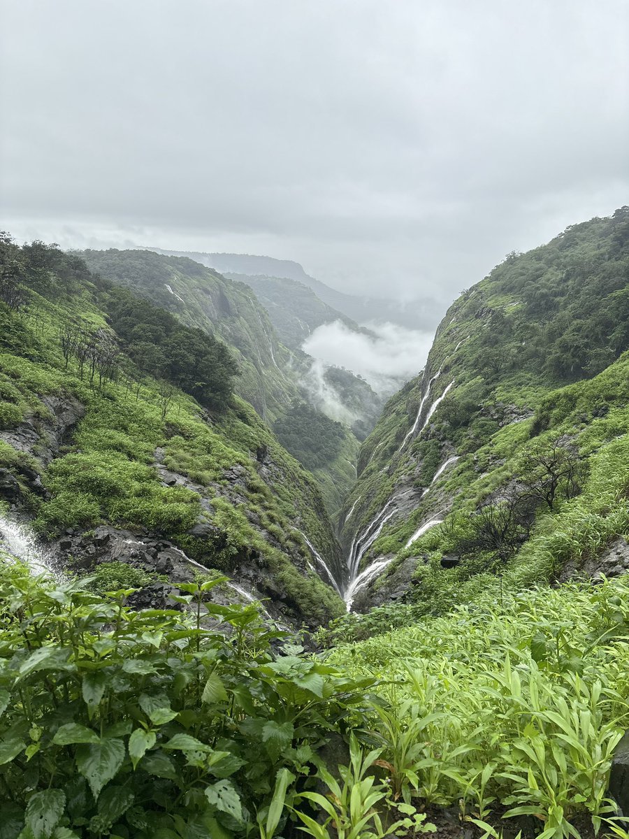 echo_muss's tweet photo. Witnessing heaven in this duniya https://t.co/Dtq5a4DsLz