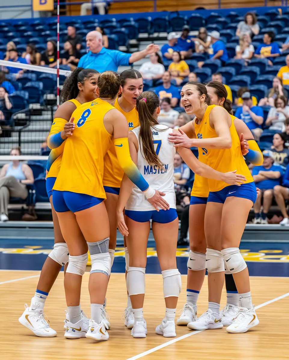 NCAA Women's Volleyball (@ncaavolleyball) on Twitter photo Almost that time 🤩
#NCAAWVB x 📸 <a href="/Pitt_VB/">Pitt Volleyball</a> Almost that time 🤩
#NCAAWVB x 📸 <a href="/Pitt_VB/">Pitt Volleyball</a>