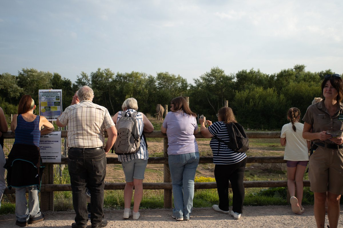 🐘 A massive THANK YOU to everyone who joined us at Blackpool Zoo on #WorldElephantDay!

🐘🌍 Because of your support we:

✅ Raised over £8,000 for elephant conservation
✅ Over 250 visitors
✅ Special enrichment activities
✅ Countless smiles

📸 Swipe through for more.