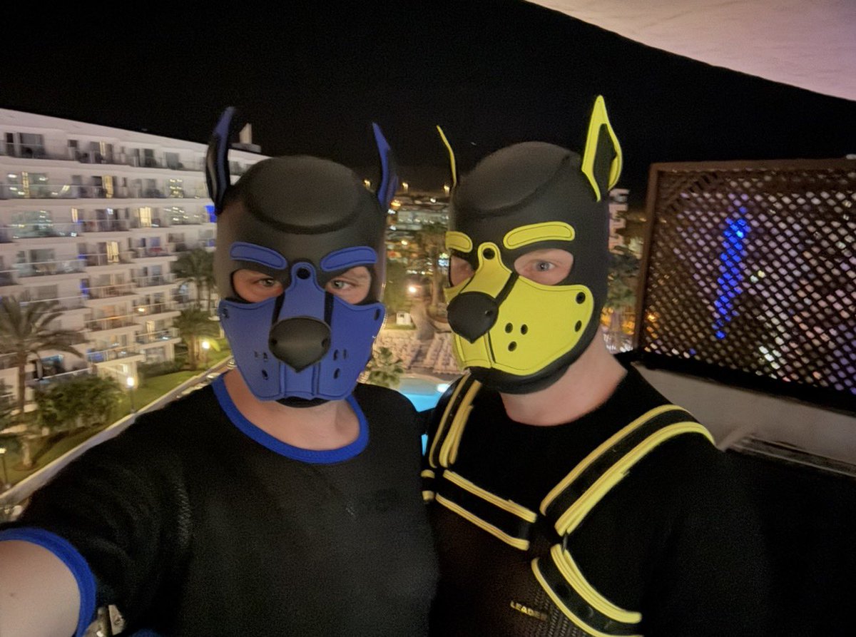 Flake Pup 🐾 tweet media