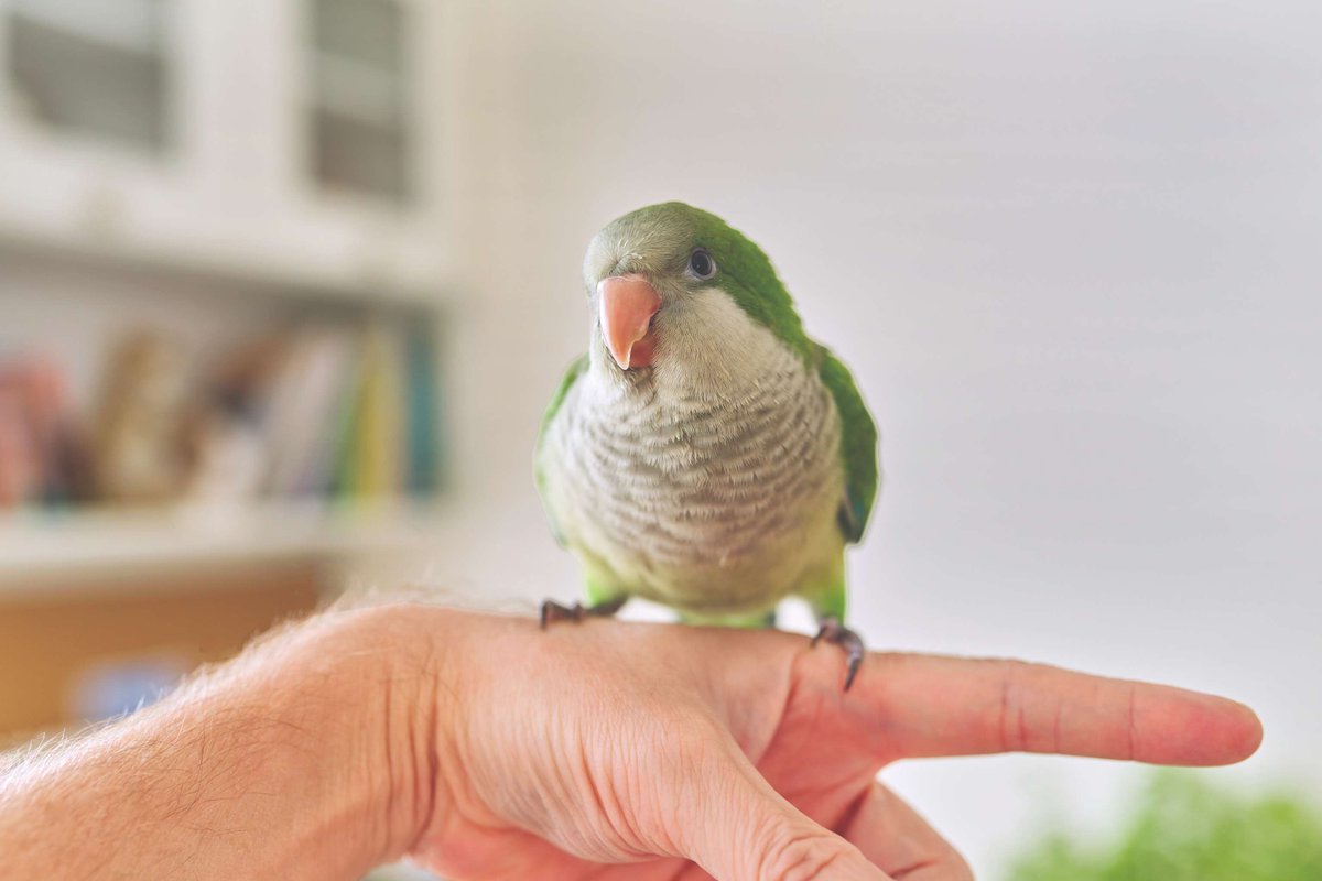 Tweet media one