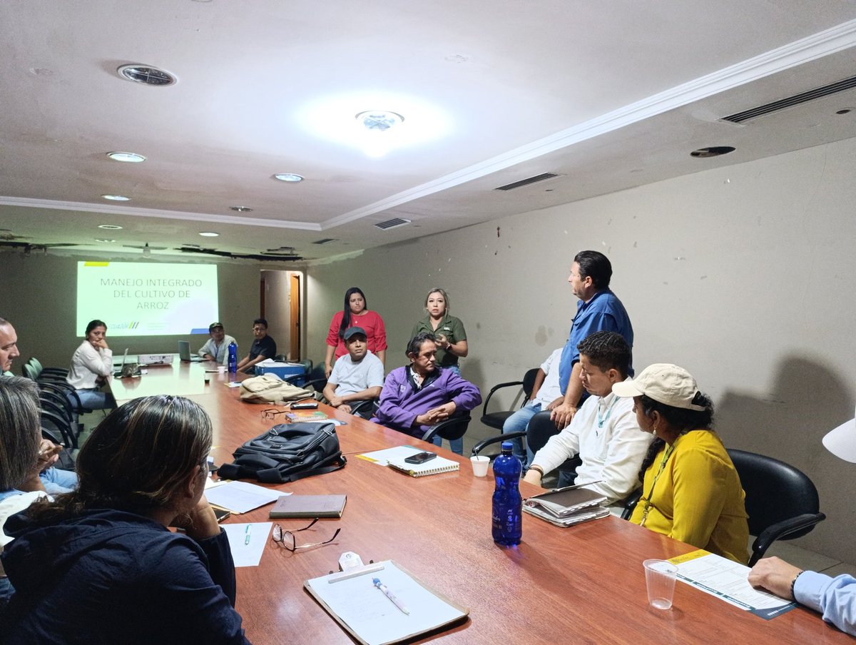 Agricultura_CZ5's tweet photo. #Guayas| 🤝 Junto a @INIAPECUADOR, @AgrocalidadEC y las empresas productoras y comercializadoras de semilla certificada, nos unimos para iniciar campañas de prevención frente a las enfermedades que afectan la producción de arroz.

#ElNuevoEcuadorImpulsa https://t.co/cDnesitVSf