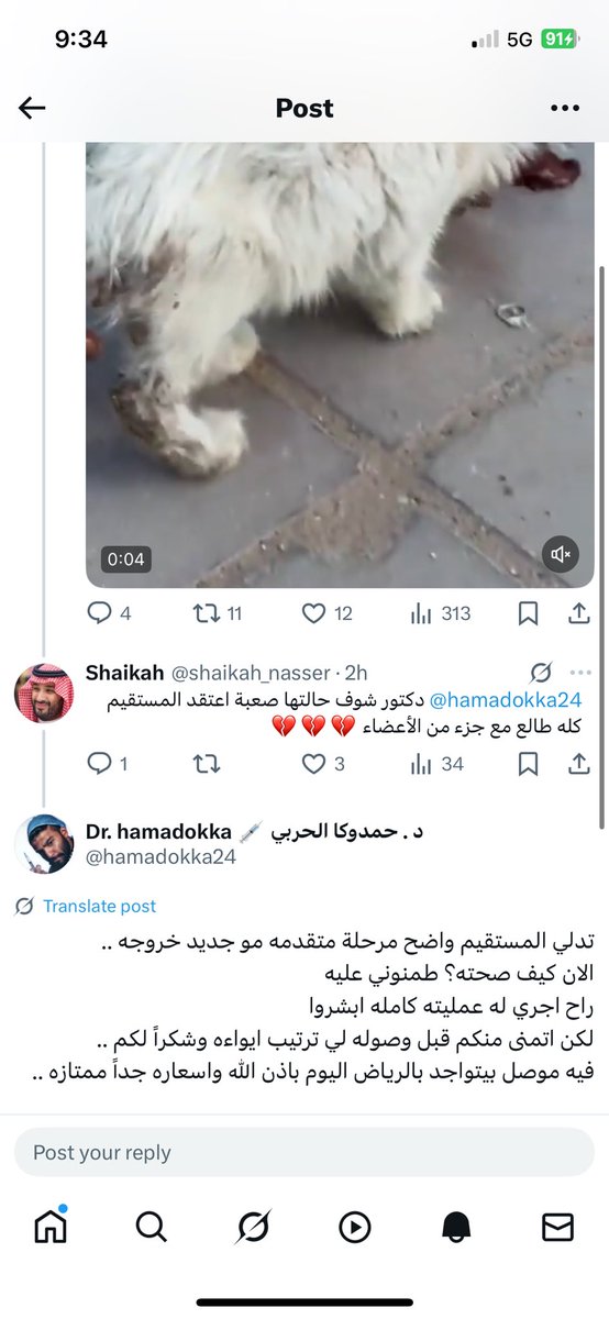 Shaikah (@shaikah_nasser) on Twitter photo الدكتور تكفل بالحالة نحتاج متبرعين يساعدون في مبلغ الإيواء.. انقاذ حالتها متوقف على تأمين المبلغ 🙏
<a href="/Lamia1408/">لمياء عبدالله النفيعي</a> <a href="/md_4x/">Munira</a> <a href="/aad_fs/">ابو عادل</a> <a href="/aad_fs/">ابو عادل</a> <a href="/Bnota1886/">🐾 shooji cat ⚖</a> <a href="/CatMaaannn/">Cat Man</a> <a href="/Bandar_870/">بندر</a> <a href="/abulwaleed2009/">خالد العوفي</a> <a href="/soundsoul369/">هيلة الروقي</a> <a href="/amaal94_/">حنان الحربي🐈</a> <a href="/Hneen_neen/">🐾H@neen🐾</a> <a href="/boody_family/">Eng manal 😻</a> <a href="/saharjawhari/">☀️إشراقة 📝</a> <a href="/Candle310/">Candle3</a> <a href="/nahlamohammed6/">نهلة محمد</a> الدكتور تكفل بالحالة نحتاج متبرعين يساعدون في مبلغ الإيواء.. انقاذ حالتها متوقف على تأمين المبلغ 🙏
<a href="/Lamia1408/">لمياء عبدالله النفيعي</a> <a href="/md_4x/">Munira</a> <a href="/aad_fs/">ابو عادل</a> <a href="/aad_fs/">ابو عادل</a> <a href="/Bnota1886/">🐾 shooji cat ⚖</a> <a href="/CatMaaannn/">Cat Man</a> <a href="/Bandar_870/">بندر</a> <a href="/abulwaleed2009/">خالد العوفي</a> <a href="/soundsoul369/">هيلة الروقي</a> <a href="/amaal94_/">حنان الحربي🐈</a> <a href="/Hneen_neen/">🐾H@neen🐾</a> <a href="/boody_family/">Eng manal 😻</a> <a href="/saharjawhari/">☀️إشراقة 📝</a> <a href="/Candle310/">Candle3</a> <a href="/nahlamohammed6/">نهلة محمد</a>