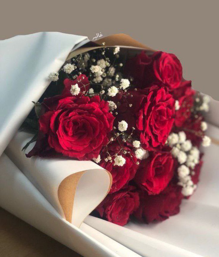 وَمَنْ أَتْقَنَ احْتِوَاءَ الرُّوحِ، يَبْقَى بِالرُّوحِ حَاضِرًا فِي عِزِّ الغِيَّابِ…

#بوح_الخاطر