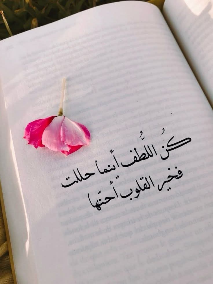 fifi_al7 (@fifi_al7) on Twitter photo 