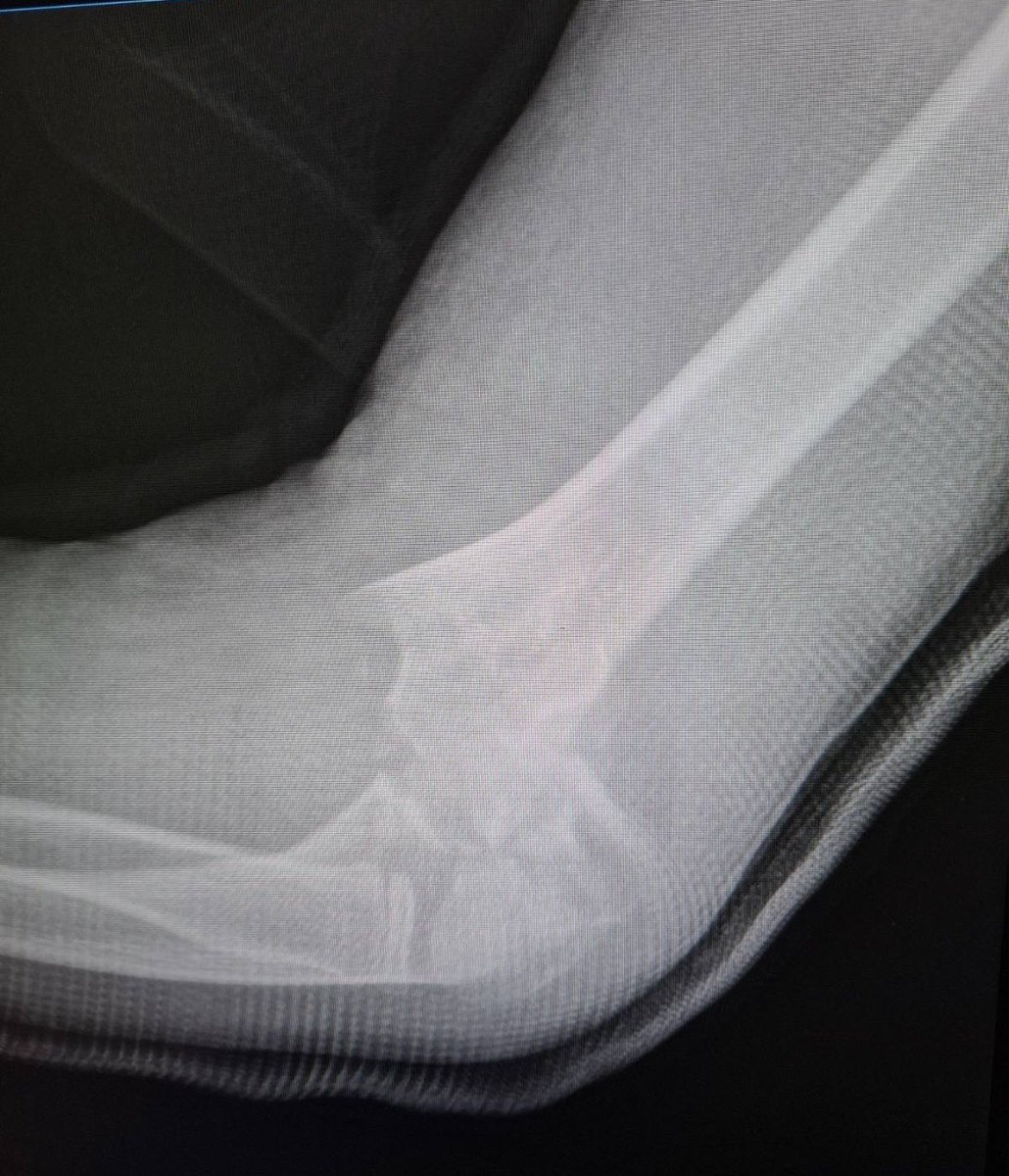 Delniotis Ioannis tweet media