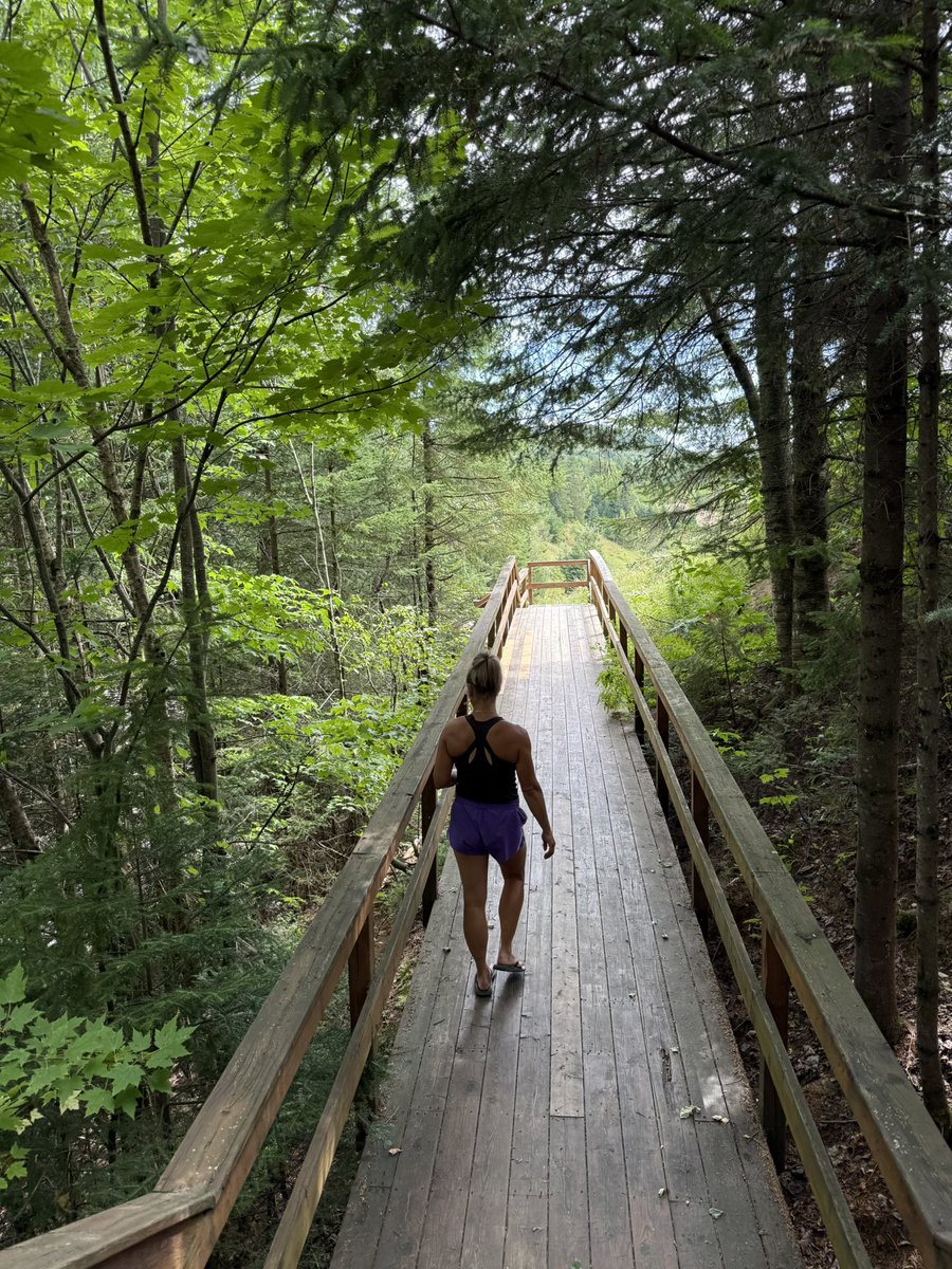 This afher noon With my brother's girlfriend We decided to go for a walk in nature It was so beautiful

🌿😌🤍🤍☀️🌲