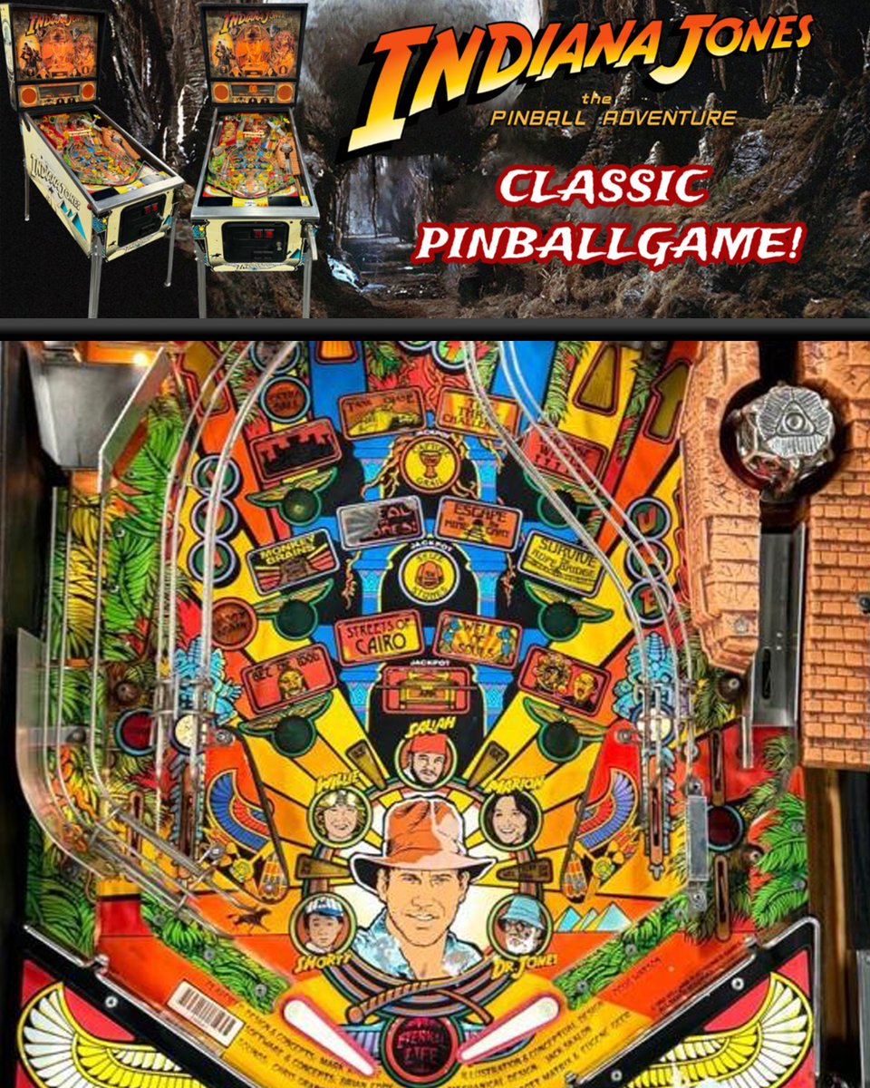 Captain's Auction Warehouse tweet media