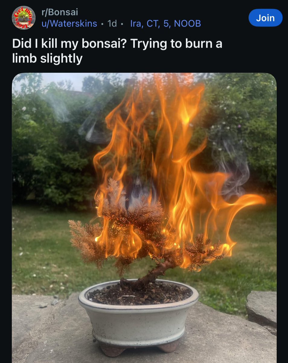 rare insults (@insultsraree) on Twitter photo 